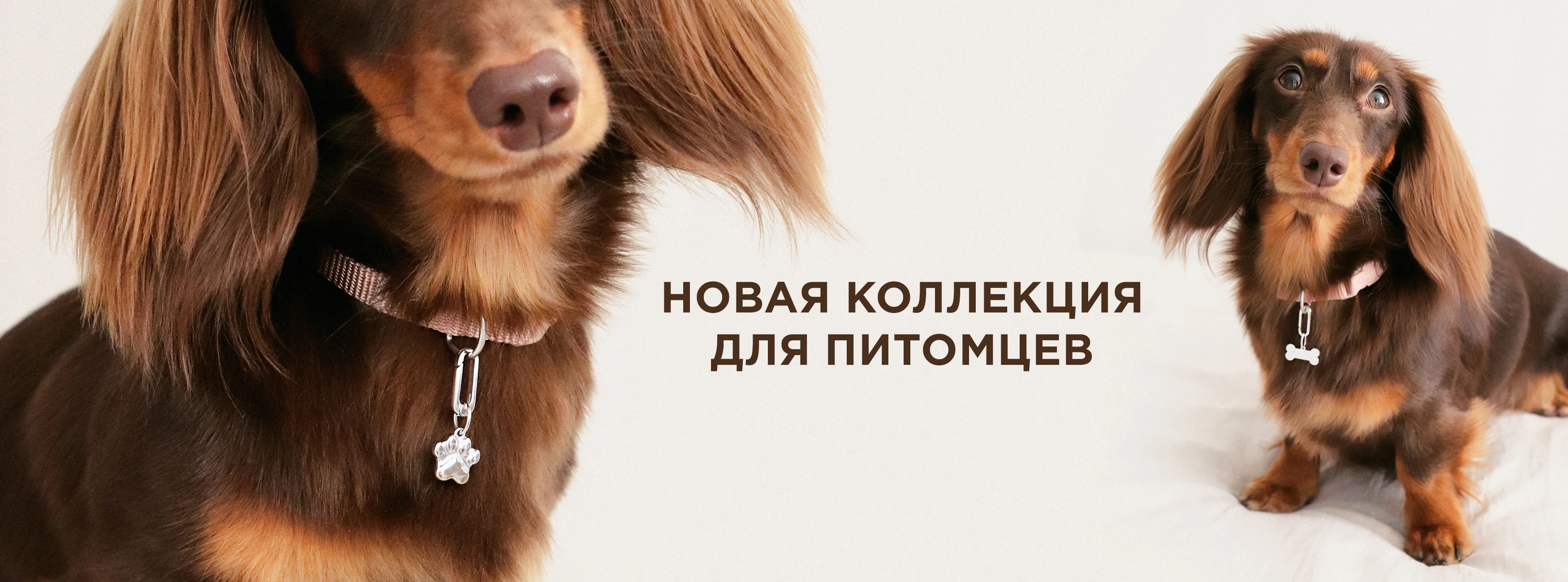 Новая коллекция серебряных украшений для питомцев!