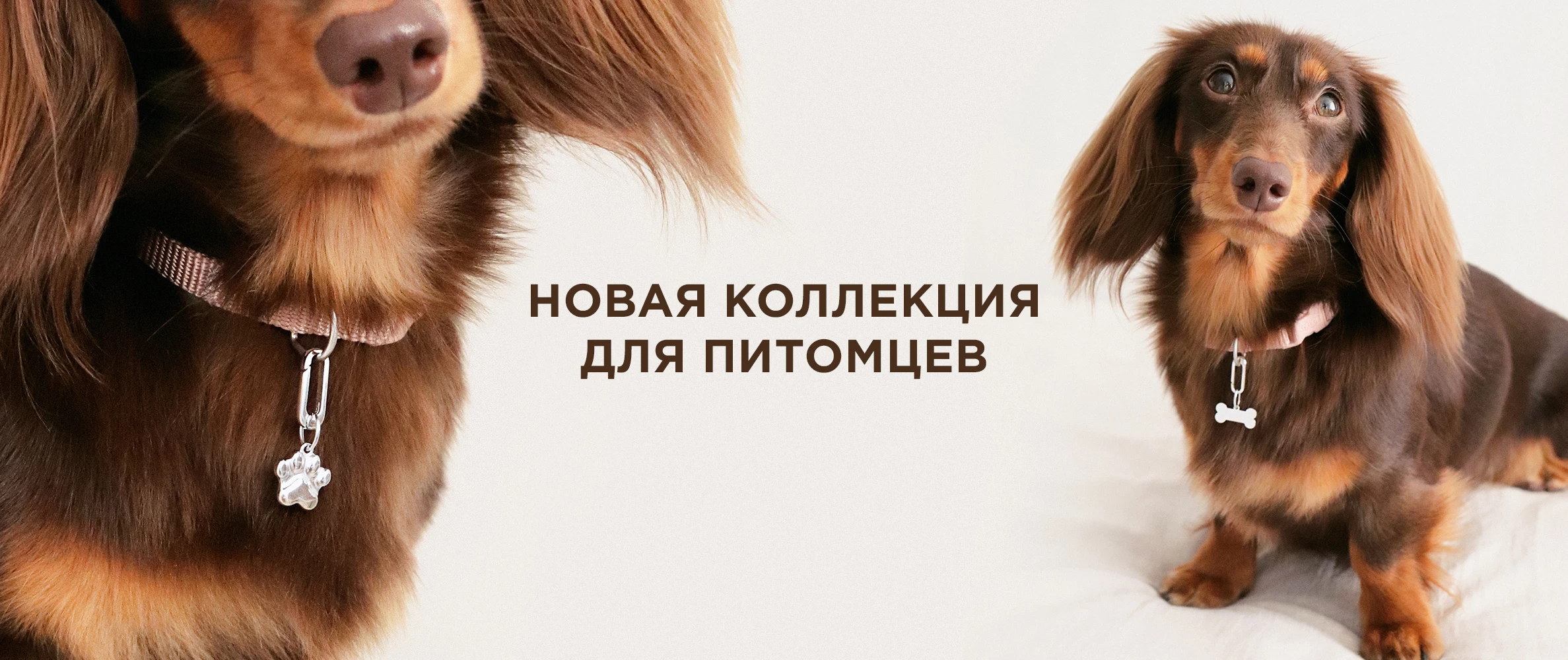 ZORKA Питомцы