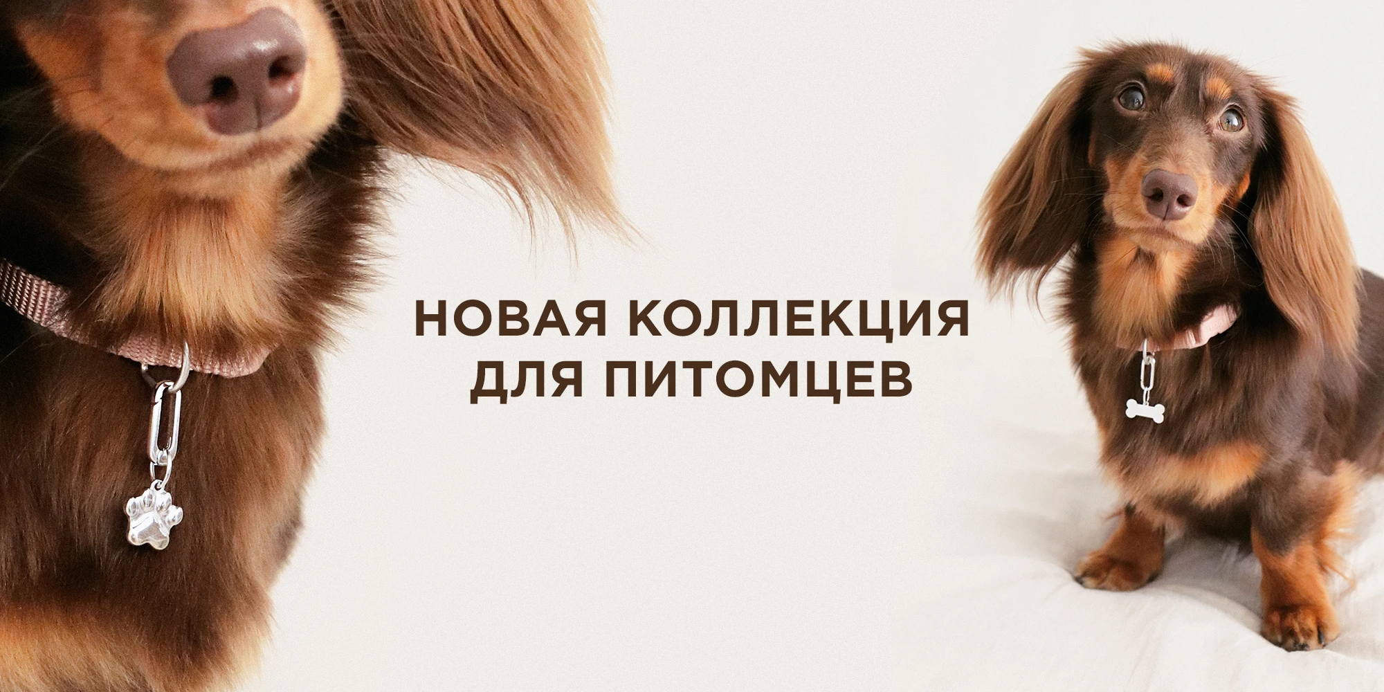 Новая коллекция серебряных украшений для питомцев!